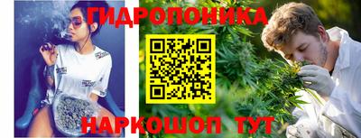 Альфа ПВП Владимир