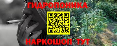 гашик Владикавказ