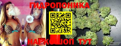 Альфа ПВП Владимир